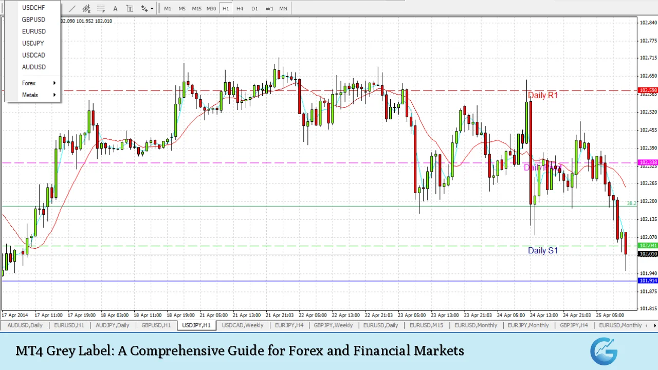 MT4 Grey Label: A Comprehensive Guide for Forex and Financial Markets